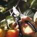 Fiskars Κλαδευτήρι Pro Pruner P90
